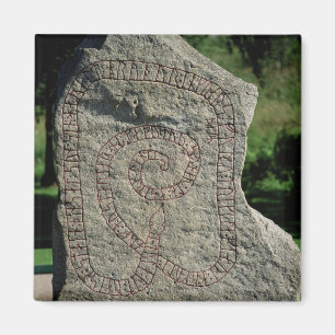 Aimant Pierre de Rune en dehors de château de Gripsholm