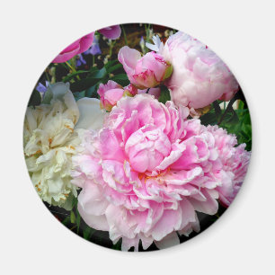 Aimant Pies roses et blanches