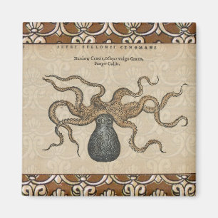 Aimant Pieuvre Kraken Antique Faune Marine Côtière