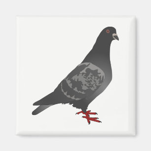 Aimant Pigeon