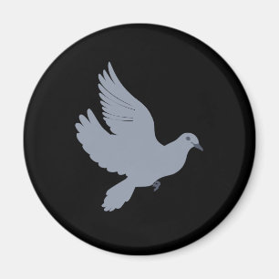 Aimant Pigeon Pigeon Pigeon Dove Oiseaux Nourrir Voleur
