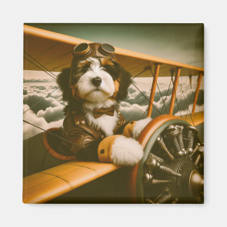 Aimant pilote bernedoodle