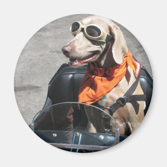 Aimant Pilote facile (Devant)