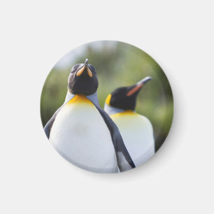 Aimant Pingouins