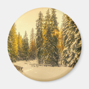 Aimant Pins couverts de neige Forêt Nature Photo