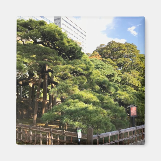 Aimant Pins de 300 ans (Devant)