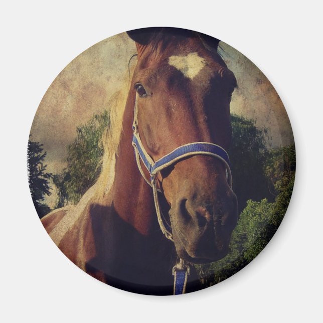 Aimant Pinto (Devant)