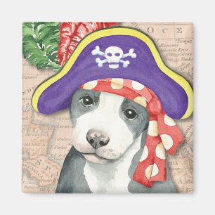 Aimant Pirate de Terrier de pitbull