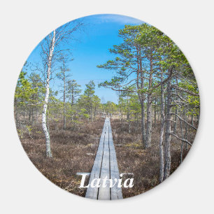 Aimant Piste en bois sur l'aimant des marais