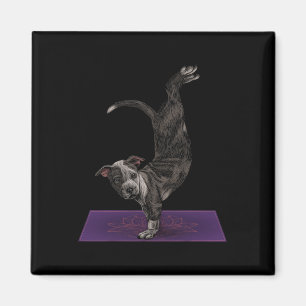 Aimant Pitbull faisant du yoga méditation zen namaste yog