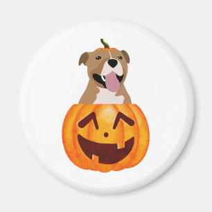 Aimant Pitbull Halloween