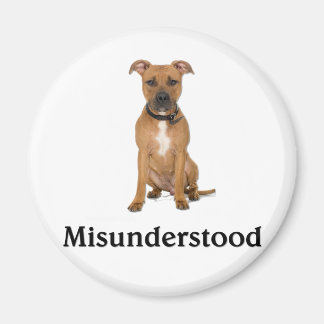 Aimant Pitbull - mal compris