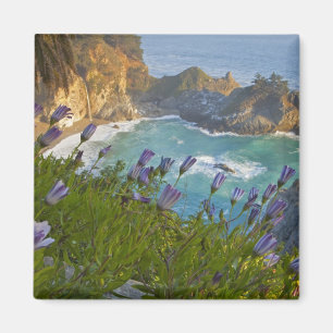 Aimant Pittoresque McWay Falls tombent sur la plage.