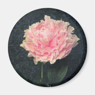 Aimant Pivoine rose
