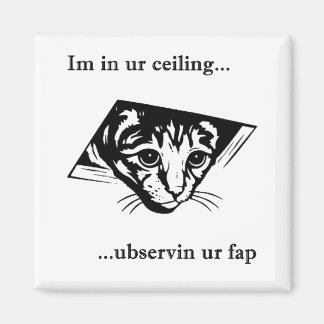 Aimant Plafond Cat ubservin u...