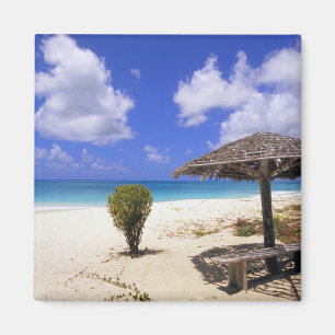 Aimant Plage de Coco Point, Barbuda, Antigua