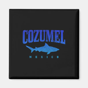 Aimant Plage de Cozumel Mexique Plongeur plongée plongée 