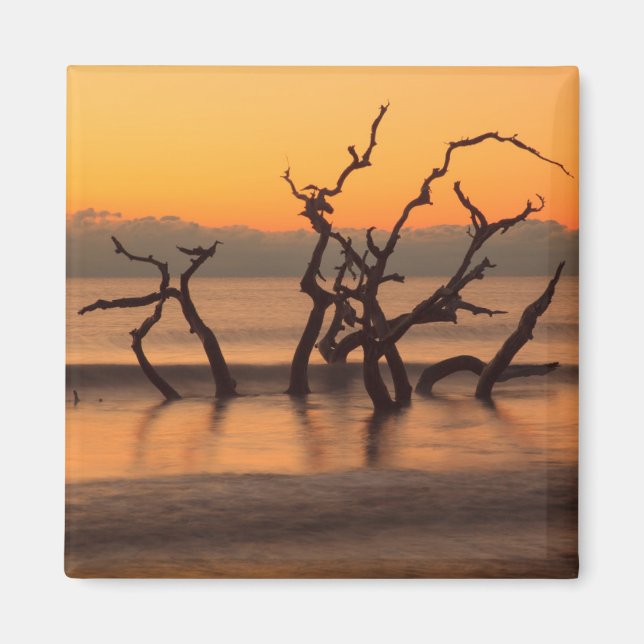 Aimant Plage de Driftwood à Sunrise Jekyll Island Georgia (Devant)