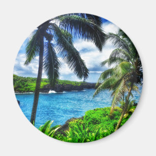 Aimant Plage de sable de noir de scène du Hawaïen