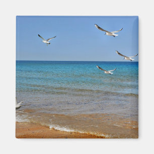 Aimant Plage et mouettes