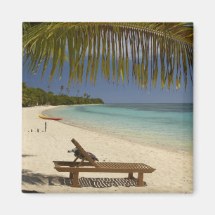 Aimant Plage, palmiers et transat