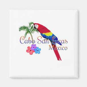 Aimant Plage tropicale de Cabo San Lucas