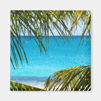 Plage tropicale encadrée de palmiers