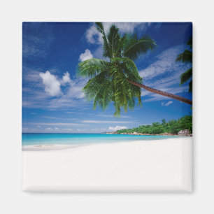 Aimant Plage tropicale   Seychelles