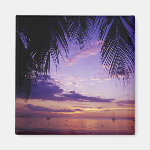 Aimant Plages à Negril, Jamaïque 2