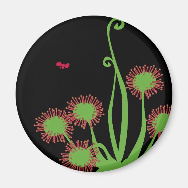 Aimant Plante Carnivore Sundew (Devant)