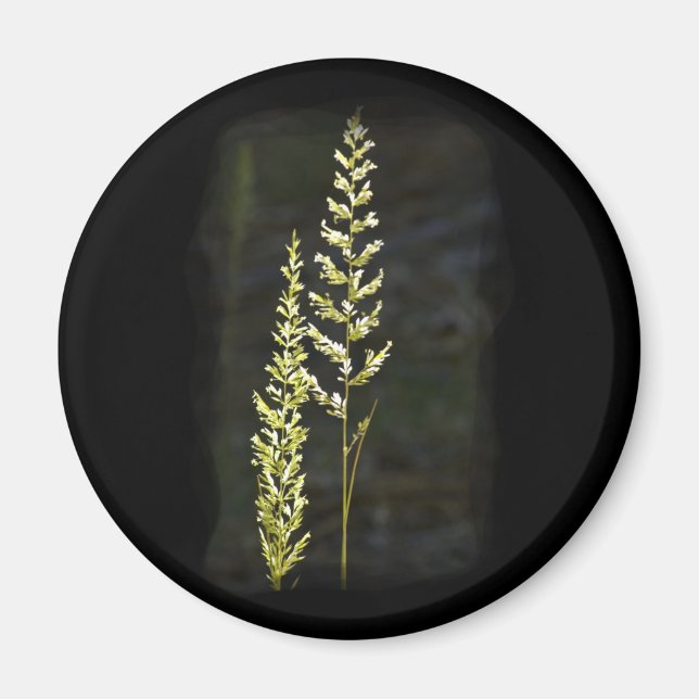 Aimant Plante vert (Devant)