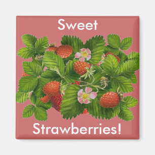 Aimant Plante vintage aux fraises