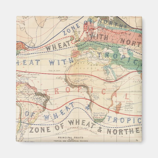 Aimant Plantes de distribution (Devant)