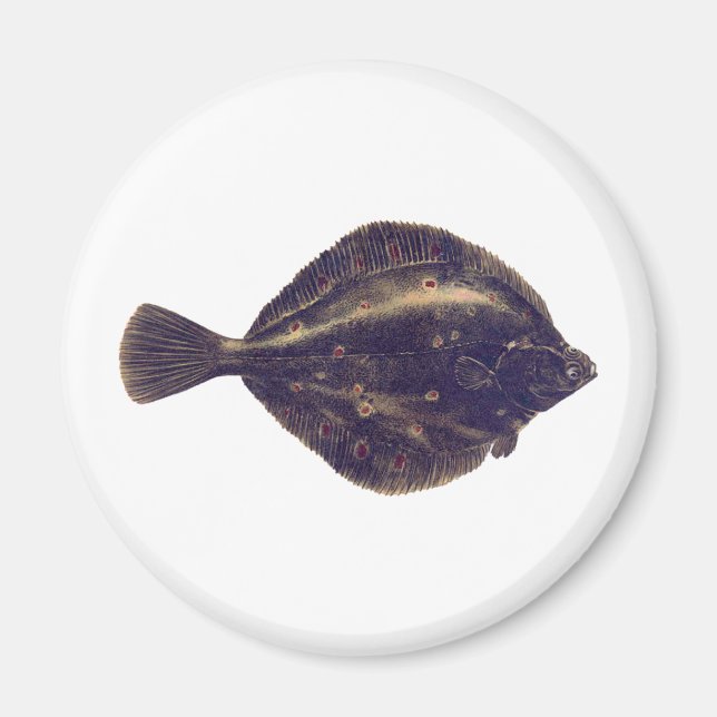 Aimant Plaque européenne (Devant)