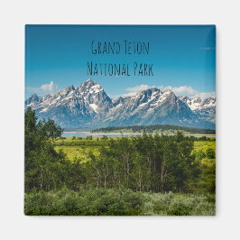 Aimant Plats de saules