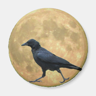 Aimant Pleine lune, Walking Crow