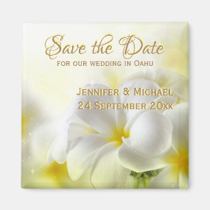 Aimant Plumeria blanc hawaïen