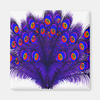 Aimant Plumes de paon