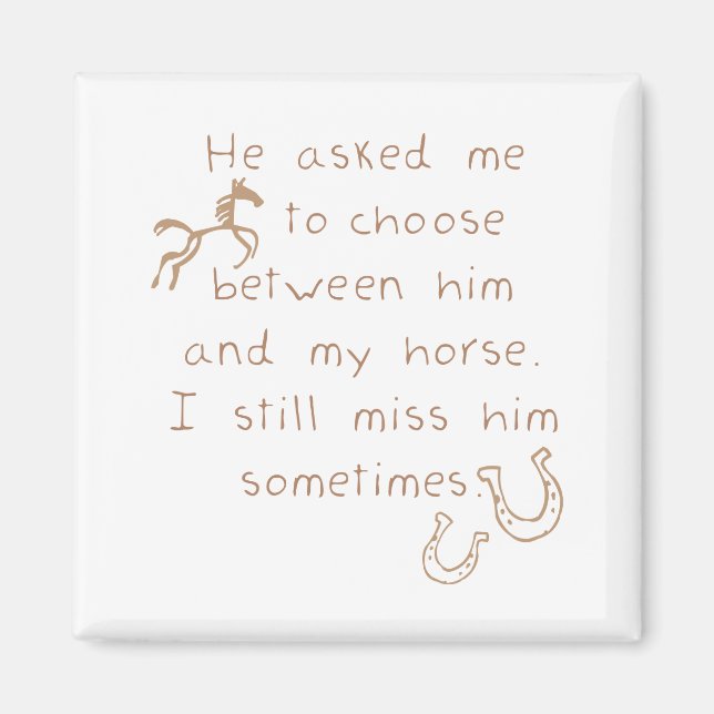 Aimant Plutôt Garder Le Cheval (Devant)