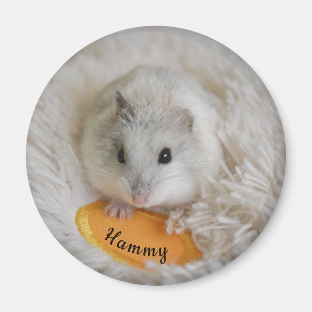Aimant Poète de hamster nain blanc personnalisé (Devant)
