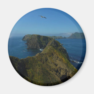 Aimant Point d'inspiration I d'Anacapa aux îles Anglo-Nor