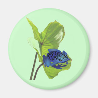 Aimant Poison grenouille