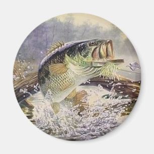 Aimant poisson basse