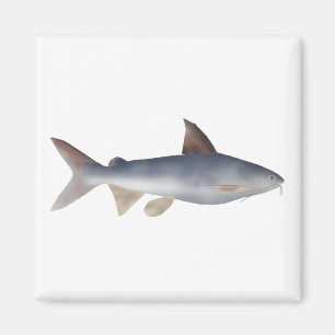 Aimant Poisson-chat tacheté