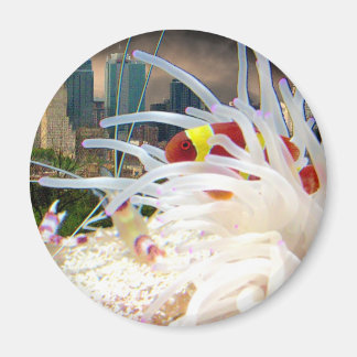 Aimant Poisson clown