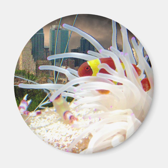 Aimant Poisson clown (Devant)