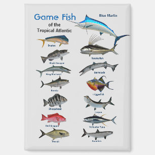 Aimant Poisson de jeu de l'océan Atlantique tropical