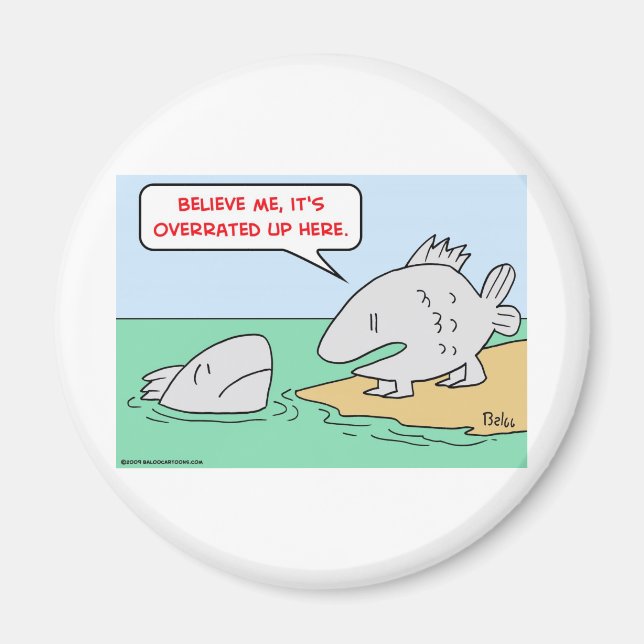 Aimant poisson, évolution, surfait (Devant)