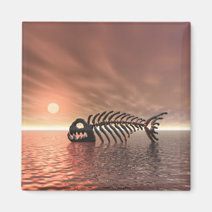 Aimant Poisson Sun