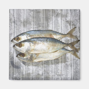 Aimant Poissons sur le journal financier, vue élevée